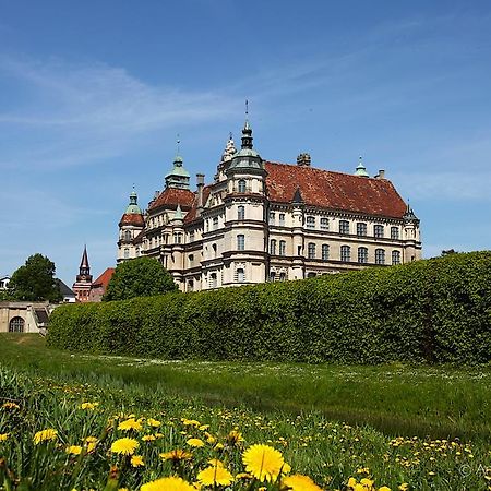 Hotel & Pension Villa Camenz Güstrow Exterior foto
